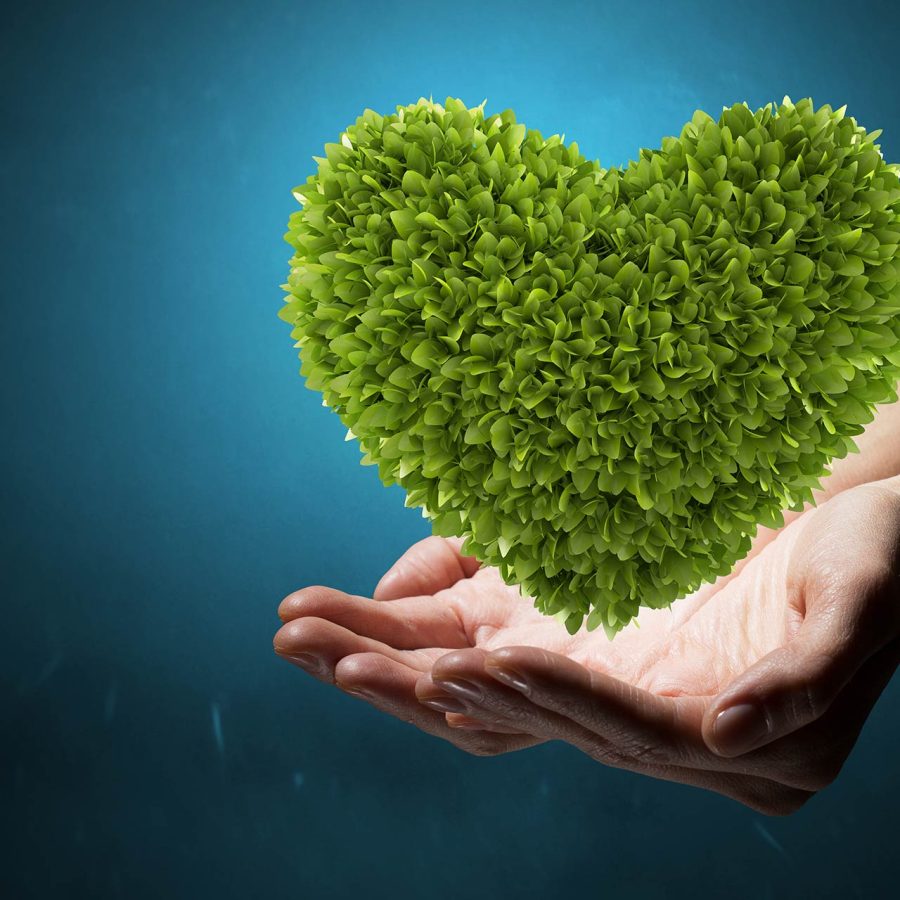 cuore-verde cuore-verde